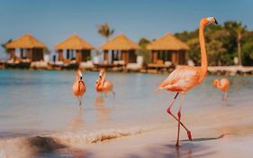 Renaissance Wind Creek Aruba Resort